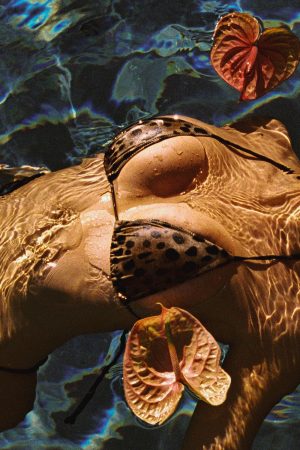 x Khy Nick Triangle Bikini Top – Lacey Leopard